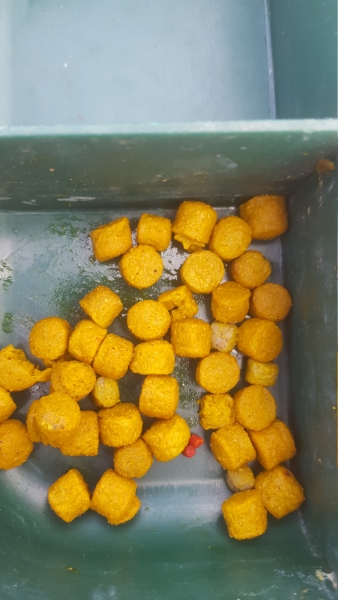 4 mm Expander Pellets